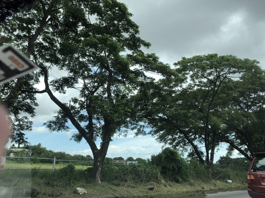 For Sale: Vacant Lot in BF Homes Las Piñas City