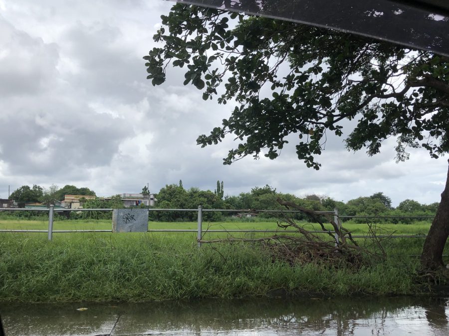 For Sale: Vacant Lot in BF Homes Las Piñas City — 2