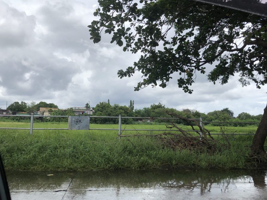 For Sale: Vacant Lot in BF Homes Las Piñas City — 3