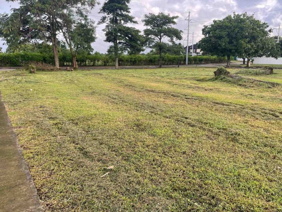 Solen Residences Residential Lot For Sale